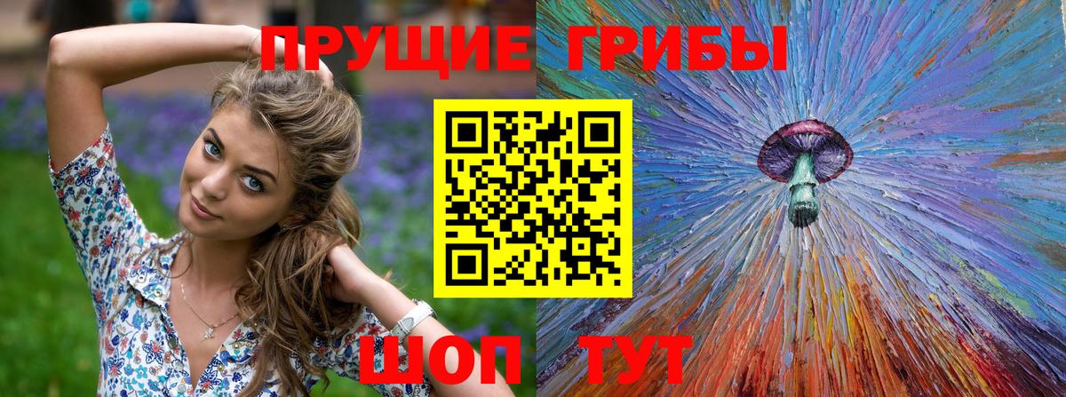 Псилоцибиновые грибы Psilocybine cubensis Благовещенск
