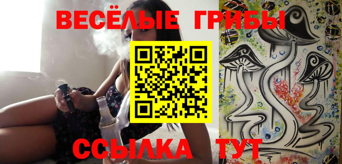 Галлюциногенные грибы Cubensis  Вход с VPN  Благовещенск 